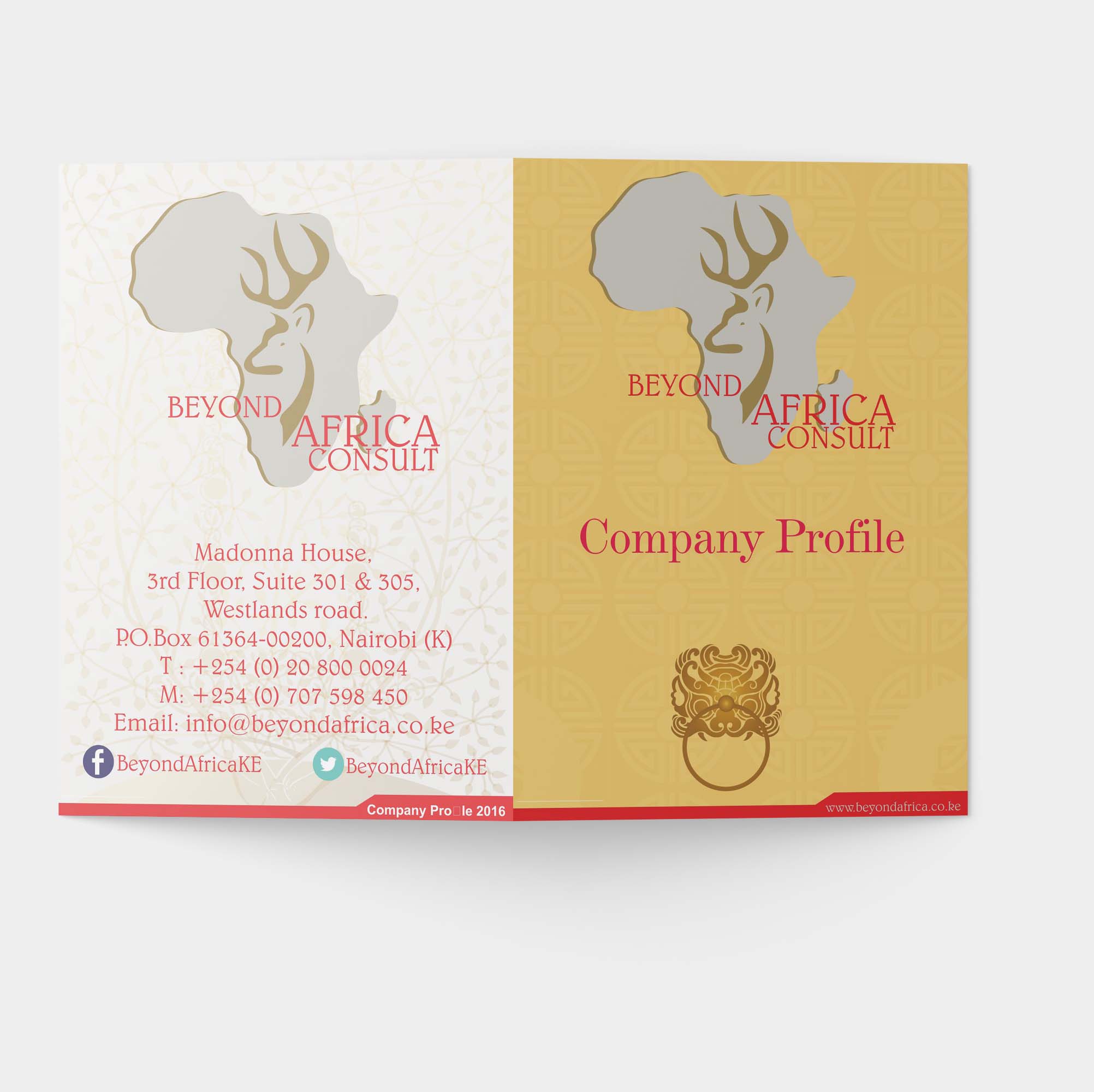 Beyond Africa Consult Profile